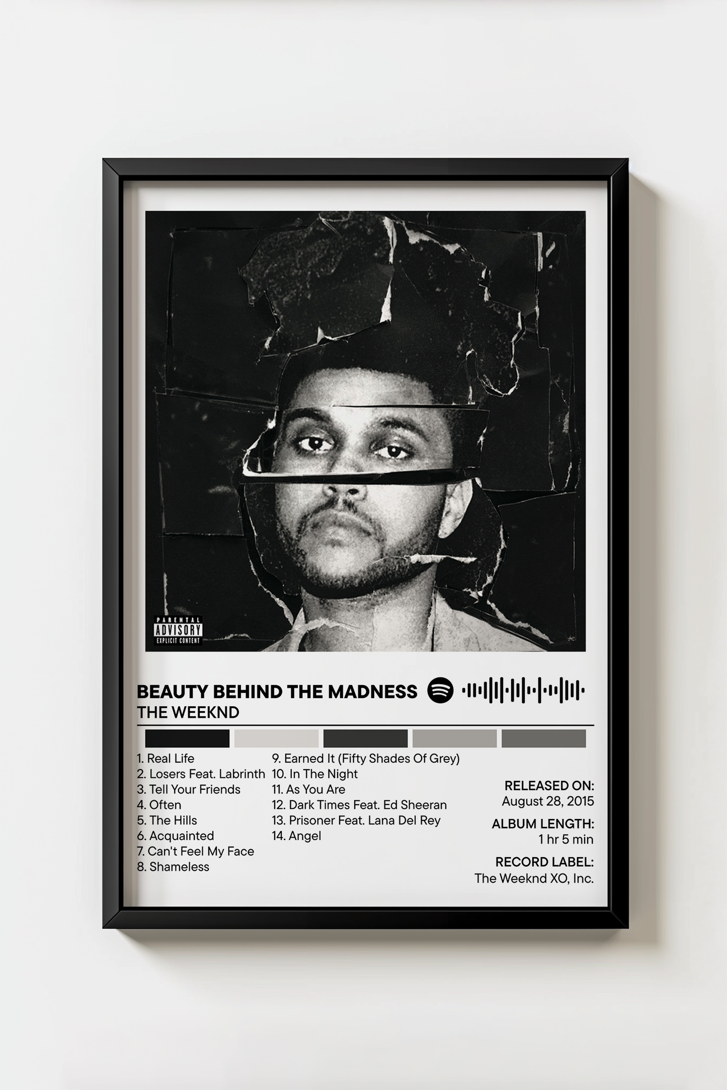 Beauty Behind the Madness