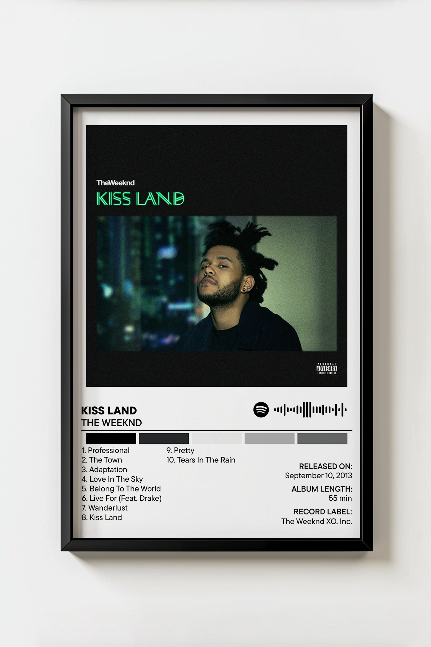 Kiss Land